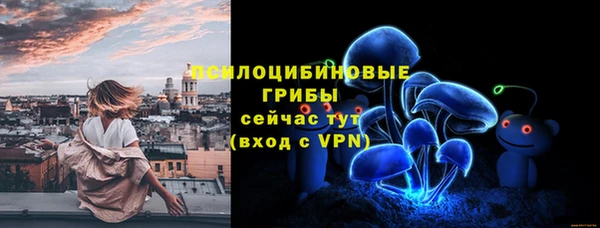 героин Алексин