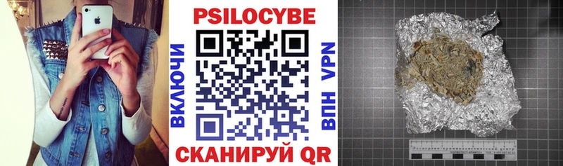 закладка площадка Telegram Псилоцибиновые грибы GOLDEN TEACHER Бабаево